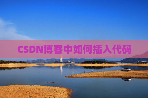 CSDN博客中如何插入代码